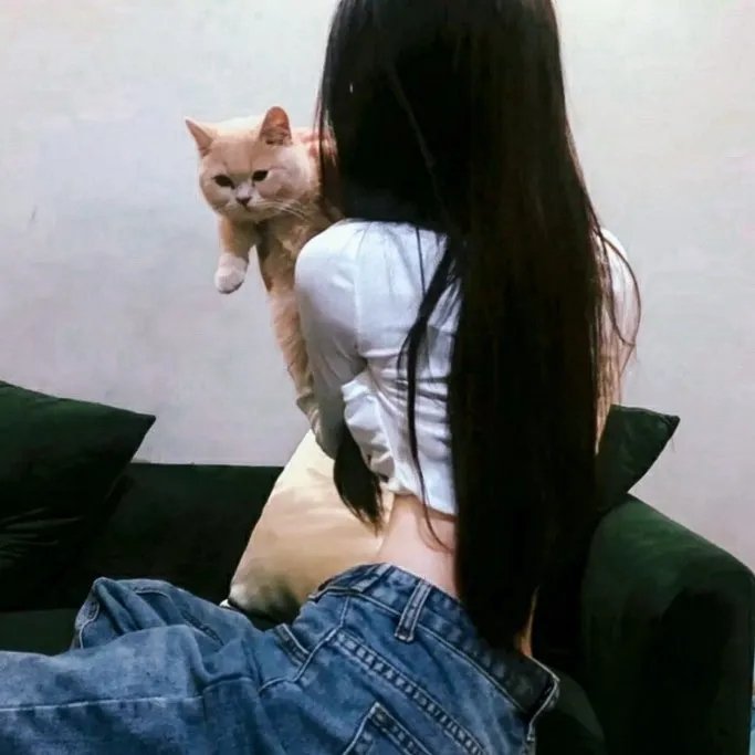 灰姑娘复仇记