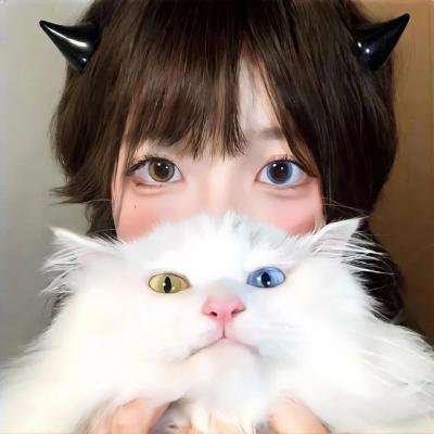 冰雪友情