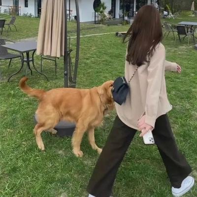 我叫赵甲第第二季